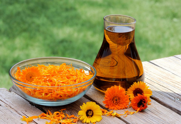 Phytoalchemia: gyógynövények a szépség és az egészség számára