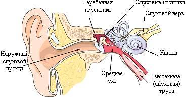 Hogyan kezeljük az otitis-ot az otthonban?