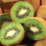 Kiwi diéta fogyáshoz Kiwi diéta fogyáshoz