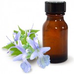 A Patchouli olaj és annak előnyös tulajdonságai A Patchouli olaj és annak előnyös tulajdonságai