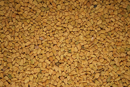 Fenugreek - mi ez? Hasznos tulajdonságok a görögszéna (fotóval)