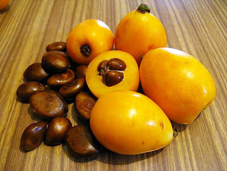 A medlar hasznos tulajdonságai, alkalmazása az orvostudományban