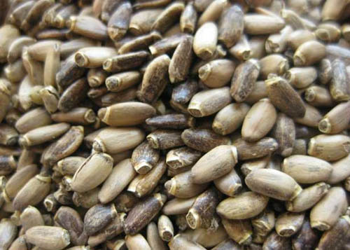 A tejcsont hasznos tulajdonságai; a tejcsík alkalmazása a testsúlycsökkenésre