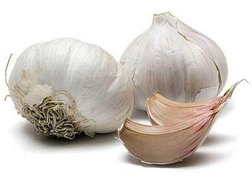 Vasodilatátor alapok