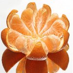 A mandarin tulajdonságai A mandarin tulajdonságai