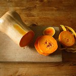 Pumpkin Diet