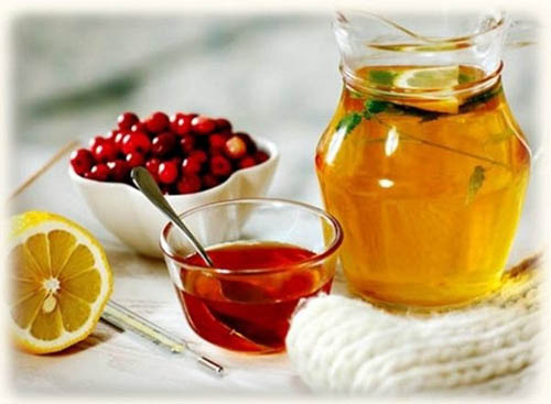 Bearberry: gyógyhatás, alkalmazás, fotó