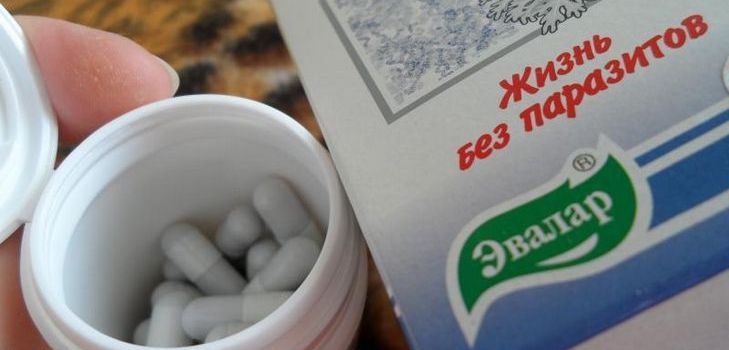 Parazitaellenes gyógyszer Troychchatka Evalar. Összetétele. Utasításokat. Vélemények